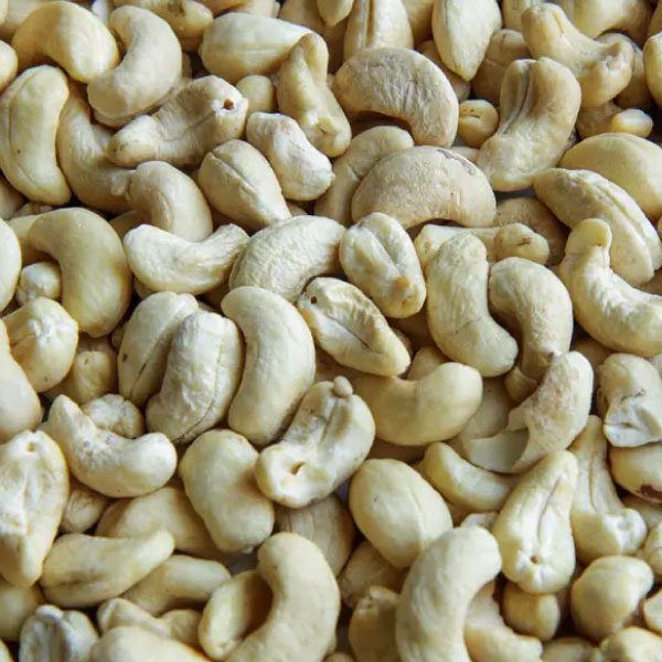 Cashew---Tosh-Investment